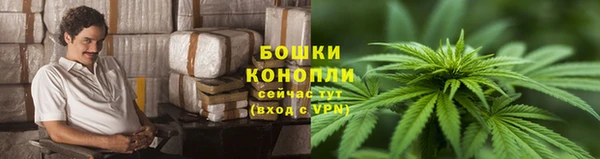 apvp Медногорск