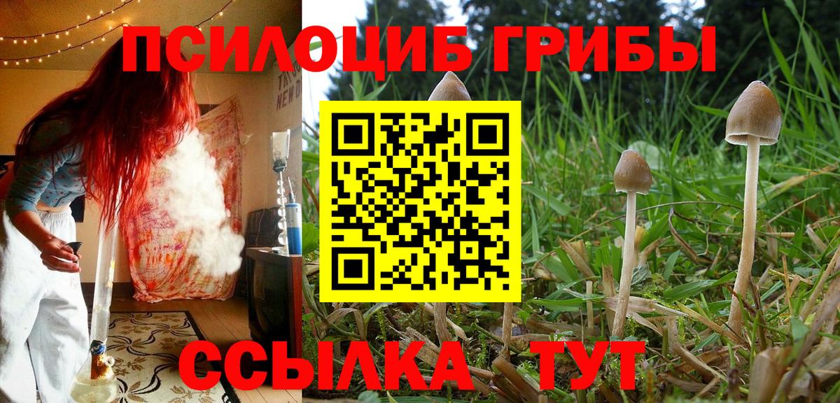 Псилоцибиновые грибы Psilocybe  Вход с VPN  Псилоцибиновые грибы ЛСД  Янаул 